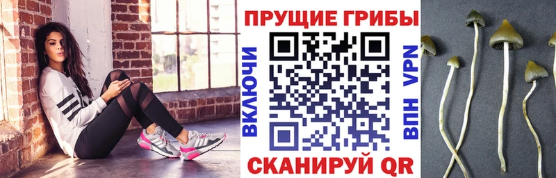 Псилоцибиновые грибы ЛСД  Краснотурьинск 