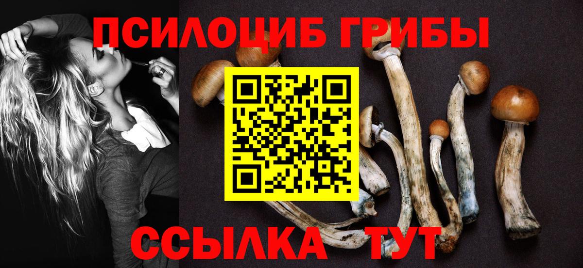 Краснотурьинск  Галлюциногенные грибы Psilocybine cubensis  Галлюциногенные грибы Cubensis  Вход с VPN 