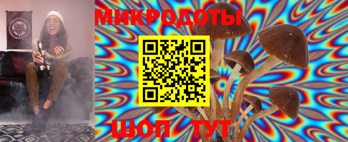 Псилоцибиновые грибы MAGIC MUSHROOMS  Галлюциногенные грибы ЛСД  Краснотурьинск 